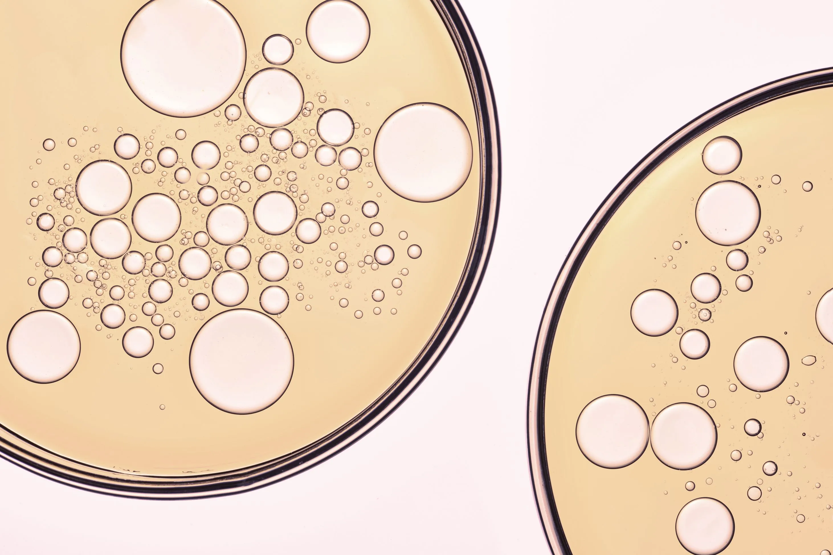 Petri dishes