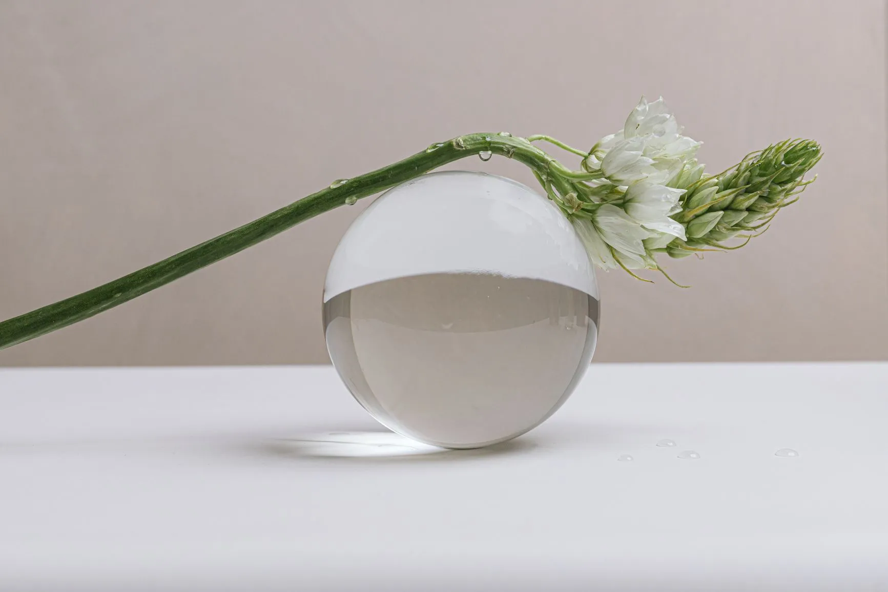Flowers on top of a glass orb