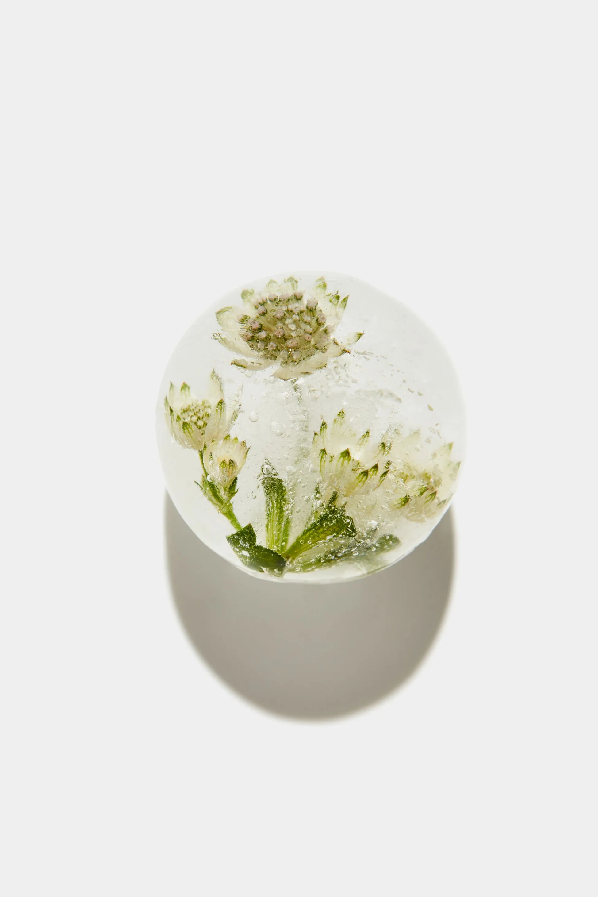 Flowers in a sphere